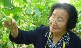 濮阳吃瓜爆料女主是谁,揭秘女主角身份之谜