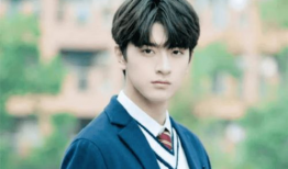 林一电视剧,青春校园剧中的阳光少年